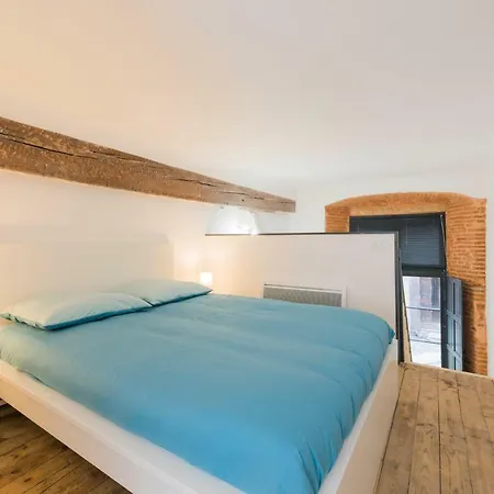Daurade Apartment Toulouse Exterior photo